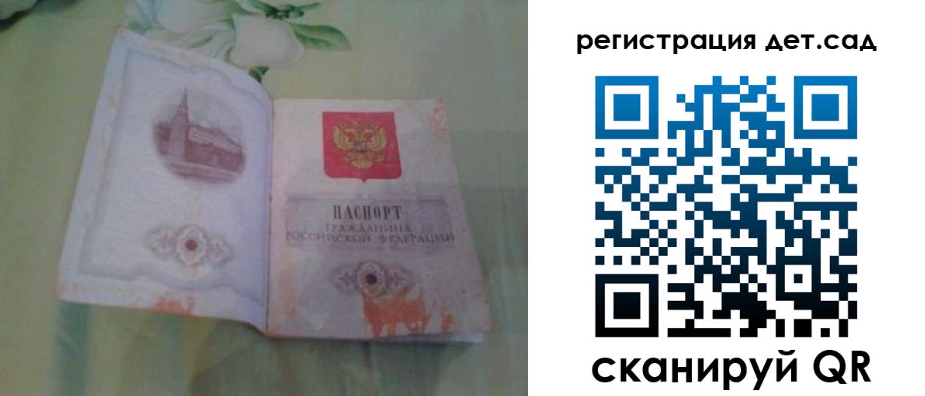 прописка гарантия в Мончегорске